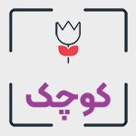 شاسی عکس گیمینگ سایز کوچک